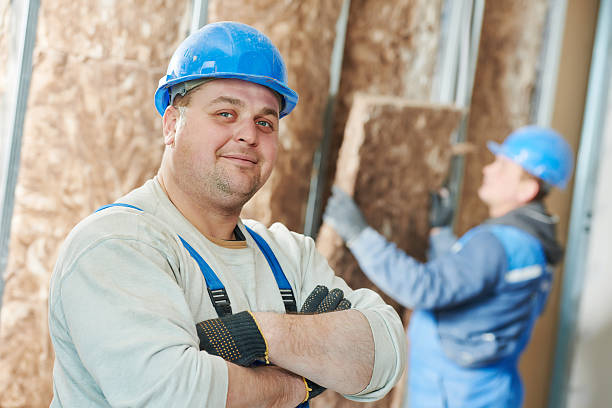 Best Geographic-Specific Insulation Services in Dale City, VA
