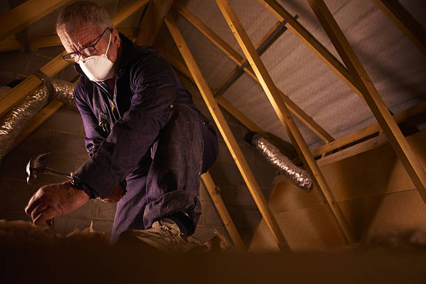 Best DIY Insulation Kits and Guidance in Dale City, VA